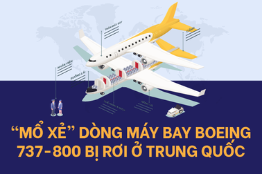 "Mổ xẻ" dòng máy bay Boeing 737-800 bị rơi ở Trung Quốc