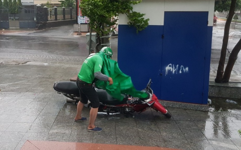 Hình ảnh bão số 12 thổi xiêu vẹo người đi đường, quật đổ cây xanh - 3 Hình ảnh bão số 12 thổi xiêu vẹo người đi đường, quật đổ cây xanh - 3