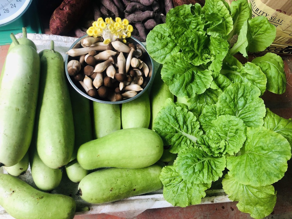 Nông dân 9X xinh đẹp sở hữu trại nấm và khu vườn trĩu quả vạn người mê - 8 Nông dân 9X xinh đẹp sở hữu trại nấm và khu vườn trĩu quả vạn người mê - 8