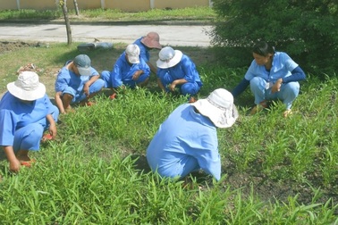 Gia tăng số vụ người tâm thần phạm tội - Vì sao?