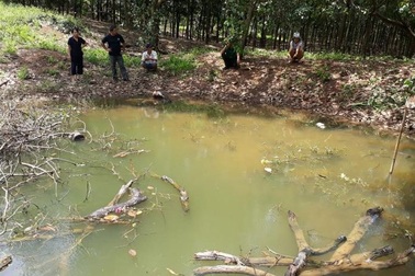 Xuống ao bắt nòng nọc, 3 học sinh chết đuối thương tâm