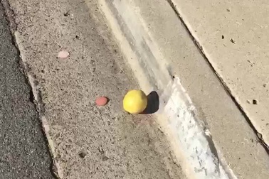 Video quả chanh "ma thuật" khiến cư dân mạng không thể rời mắt