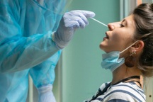 Pfizer dự đoán thời điểm đại dịch Covid-19 chấm dứt