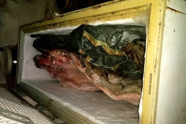 Mua hổ từ Lào về Việt Nam, gửi nhà hàng xóm để “qua mặt” công an