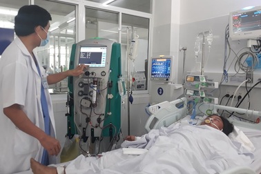 Ăn nấm hái trong rừng, 3 người trong một gia đình bị ngộ độc nặng