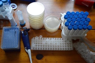 Kỹ thuật chỉnh sửa gen lần đầu tiên được thử nghiệm trên người