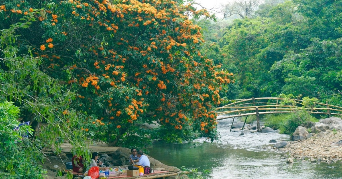 Mùa trang rừng nở hoa, thu hút nhiều du khách tham quan ở suối Tà Má (Ảnh: Doãn Công).