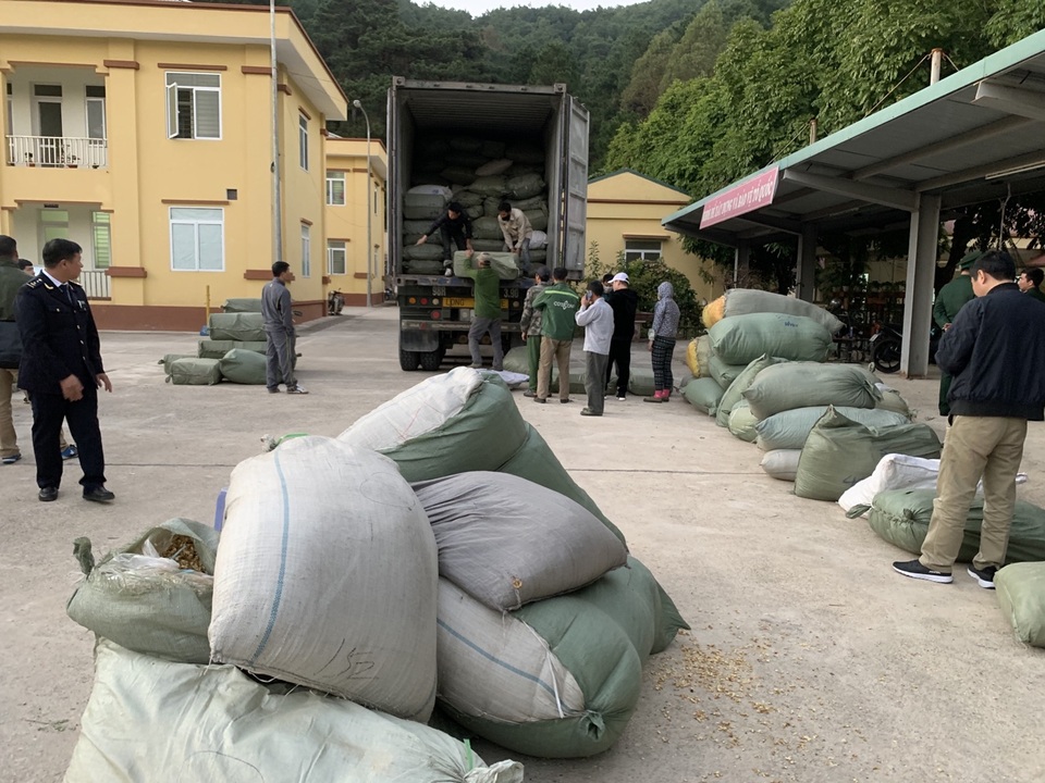 Bắt giữ 3 đối tượng buôn lậu hơn 100 tấn dược liệu qua nhiều tỉnh - 1 Bắt giữ 3 đối tượng buôn lậu hơn 100 tấn dược liệu qua nhiều tỉnh - 1