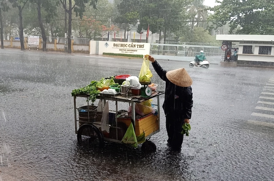 “Mưa vàng” giải nhiệt khắp Miền Tây sau bao ngày nắng hạn - 14 “Mưa vàng” giải nhiệt khắp Miền Tây sau bao ngày nắng hạn - 14