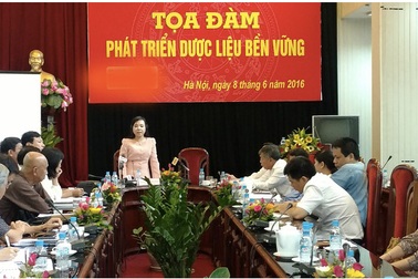 Những nghịch lý trong tiêu thụ dược liệu