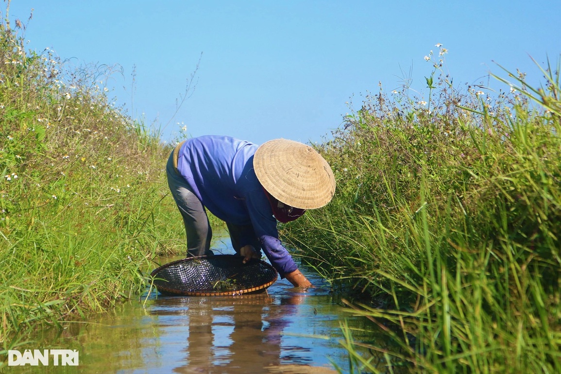 Người dân vùng khó kiếm bộn tiền nhờ thức ăn cho cá sấu và tôm hùm - 5 Người dân vùng khó kiếm bộn tiền nhờ thức ăn cho cá sấu và tôm hùm - 5