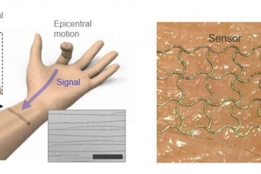 Cảm biến da điện tử có thể nắm bắt các chuyển động phức tạp của con người