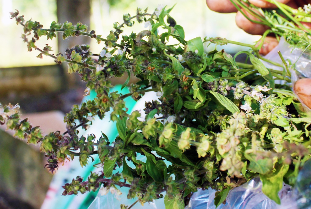 Độc lạ đặc sản có tên 