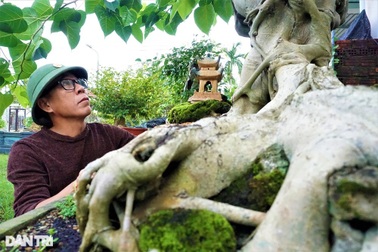 Người thổi "hồn" vào những gốc duối, ổi, me, bồ đề