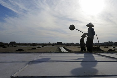 Đắng cay nghề muối!