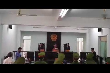 Ông Nguyễn Hữu Linh lĩnh 18 tháng tù