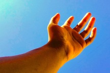 "Ly cocktail" đột phá giúp con người "mọc" lại bộ phận đã mất?