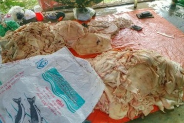 Vụ da heo tẩm hoá chất độc hại: Đình chỉ cơ sở chế biến 5 tháng hoạt động