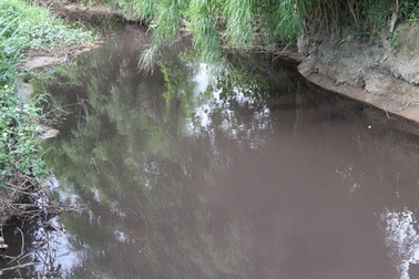 Nước suối bất ngờ đổi màu đen ngòm, cá tôm chết hàng loạt