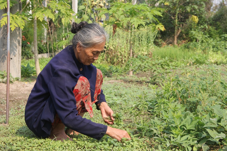 Đau đớn cảnh bé gái thiểu năng bị kẻ xấu hại đời đến mang thai - 6 Đau đớn cảnh bé gái thiểu năng bị kẻ xấu hại đời đến mang thai - 6