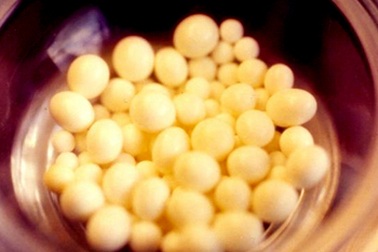 Phật giáo Việt Nam chuẩn bị cung nghinh ngọc xá lợi Phật