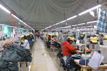 Hướng dẫn doanh nghiệp tại Nghệ An dừng đóng quỹ hưu trí và tử tuất