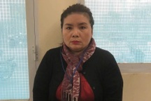 Bắt Giám đốc Công ty Dịch vụ Đo đạc bản đồ Đại An ở TPHCM