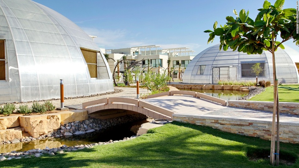 Cảnh trồng rau, nuôi gà trong thành phố xanh đầu tiên ở Dubai - 4