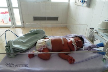 Cháu Vi Văn Hoàng Quân đã mất