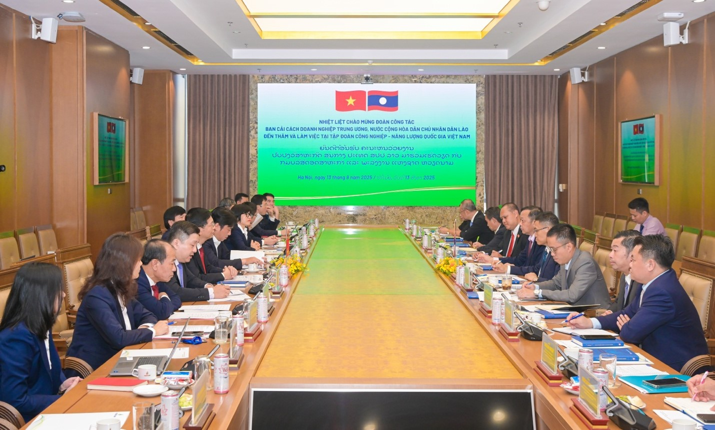 Petrovietnam đón đoàn công tác Ban cải cách doanh nghiệp Trung ương Lào - 1