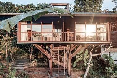 Nhà cây tuyệt đẹp, đầy đủ tiện nghi nhô lên giữa khu vườn