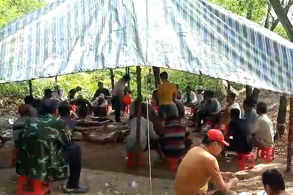 Tổ chức đá gà ăn tiền giữa rừng đước, ra vào bằng xuồng máy - 1 Tổ chức đá gà ăn tiền giữa rừng đước, ra vào bằng xuồng máy - 1