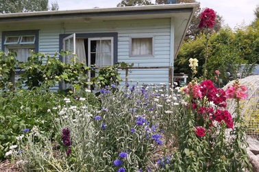 Chiêm ngưỡng khu vườn ngập rau xanh và cây trái của người đàn ông ở New Zealand