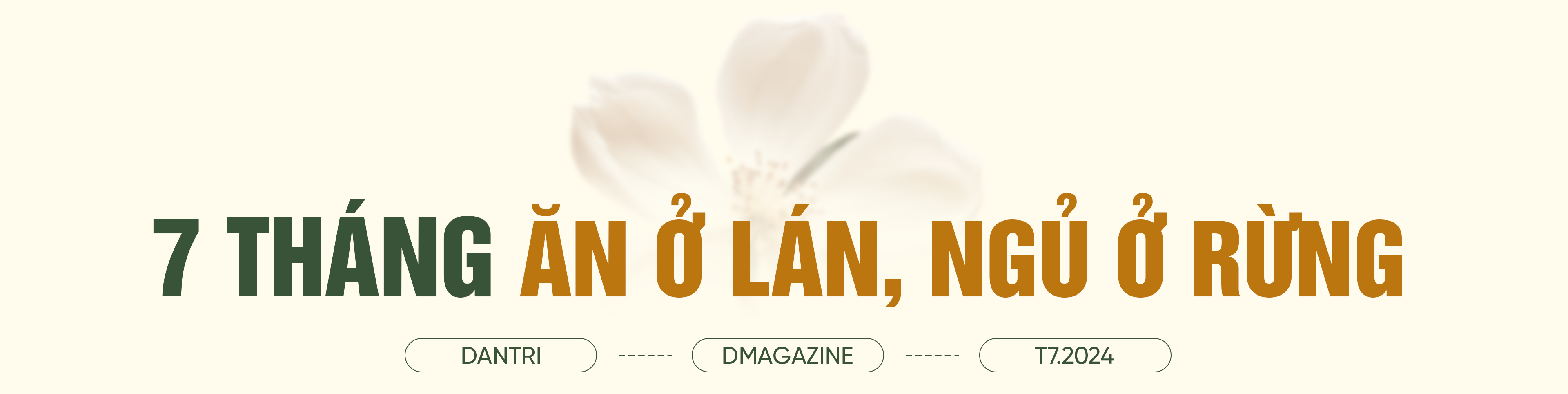 Những mảnh ghép lịch sử và nhiệm vụ đặc biệt trong rừng sâu - 1 Những mảnh ghép lịch sử và nhiệm vụ đặc biệt trong rừng sâu - 1