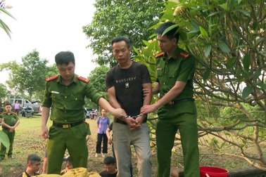 Vụ lăng mộ vua bị xâm hại: Một đối tượng đã trốn về nước