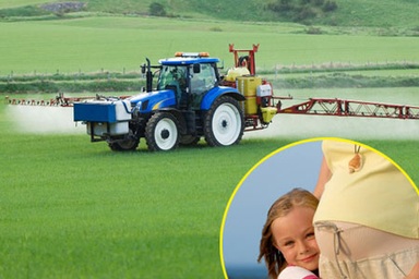 Mẹ phơi nhiễm thuốc trừ sâu, con dễ bị nhiễm trùng phổi