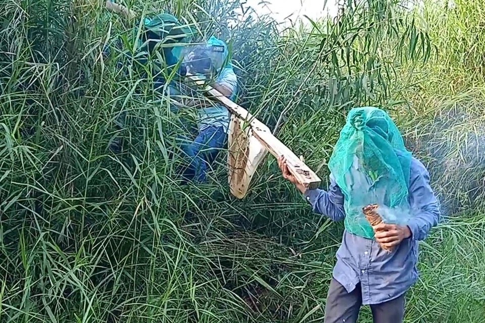 Thót tim cảnh lội rừng, Thót tim cảnh lội rừng,