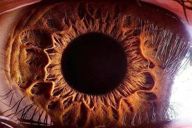 Mống mắt con người có gì đặc biệt để thu thập dữ liệu căn cước công dân?