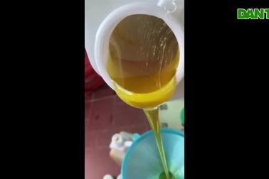 Loại mật ong "trời cho" chỉ một nơi có bị "nhái" bằng hàng Trung Quốc