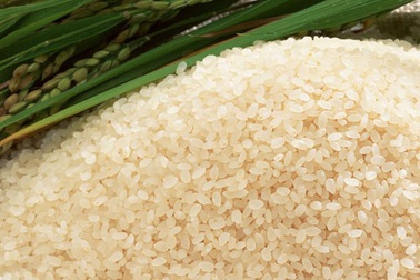 Bài 1: Đặt lại tên cho "hạt ngọc" Việt Nam