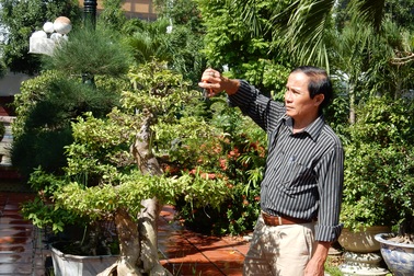 Thu tiền tỷ mỗi năm từ trồng cây cảnh