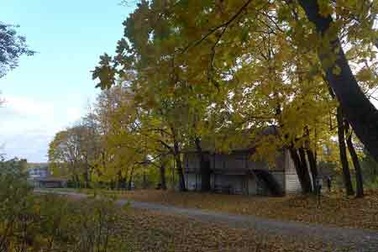 Gặp lại "nàng" Thu Vàng lộng lẫy ở điền trang Lev Tolstoy 