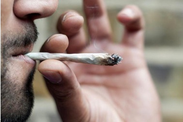 Hút cần sa có thể gây thay đổi di truyền trong tinh trùng