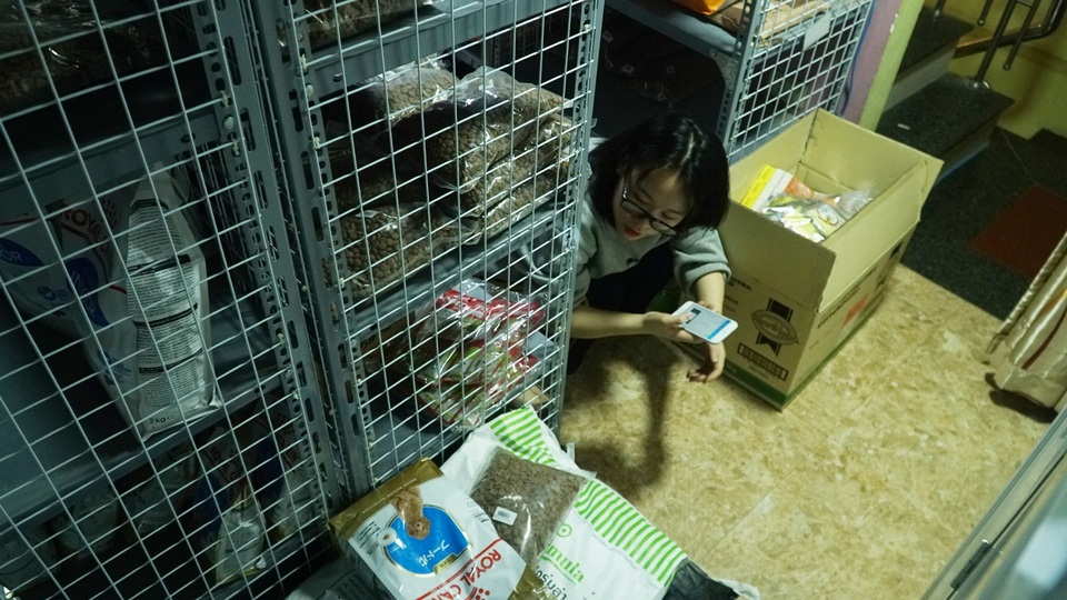 Dịch vụ trông thú cưng kiếm bội tiền cuối năm - 12 Dịch vụ trông thú cưng kiếm bội tiền cuối năm - 12