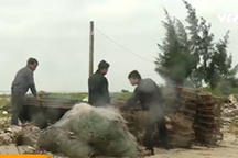 Cảnh báo tình trạng lừa đảo xuất khẩu lao động ở Quảng Bình