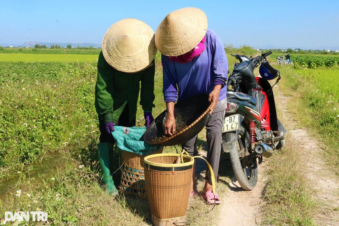 Người dân vùng khó kiếm bộn tiền nhờ thức ăn cho cá sấu và tôm hùm - 3 Người dân vùng khó kiếm bộn tiền nhờ thức ăn cho cá sấu và tôm hùm - 3