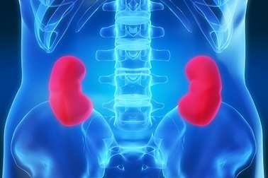 Suy thận cấp, 2 học sinh tử vong, 18 học sinh nhập viện