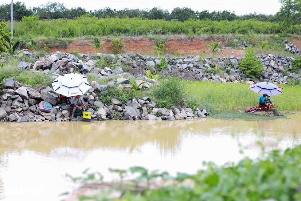 Hoa hậu 6 con Oanh Yến: Vượt cú sốc tinh thần, an yên tại nông trại 10ha - 12 Hoa hậu 6 con Oanh Yến: Vượt cú sốc tinh thần, an yên tại nông trại 10ha - 12