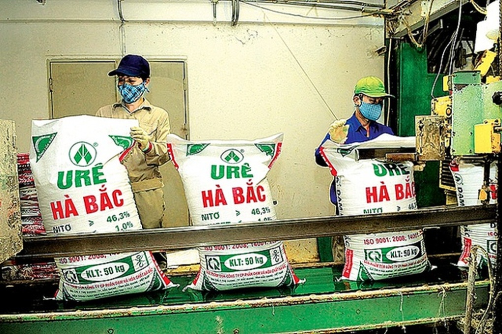 Rà soát thực hiện kết luận thanh tra tại Công ty phân đạm Hà Bắc - 1 Rà soát thực hiện kết luận thanh tra tại Công ty phân đạm Hà Bắc - 1