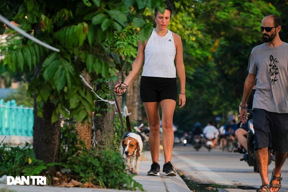 Nữ MC chuyển nhà vì 2 chú cún và chuyện không hồi kết thú cưng ở chung cư - 3 Nữ MC chuyển nhà vì 2 chú cún và chuyện không hồi kết thú cưng ở chung cư - 3